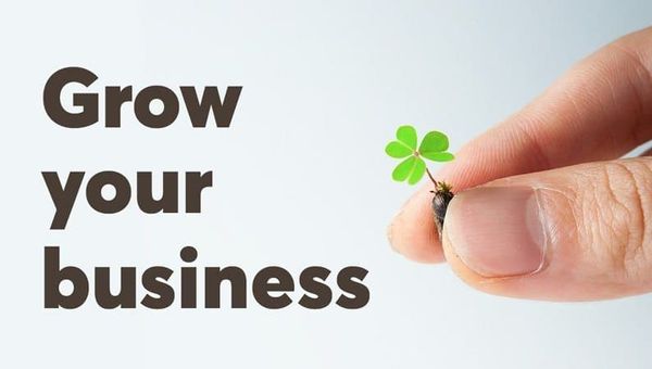 A Comprehensive Guide on How to Grow Your Business Online